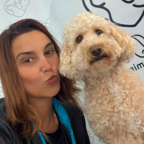 A smiling groomer next to a curly apricot doodle